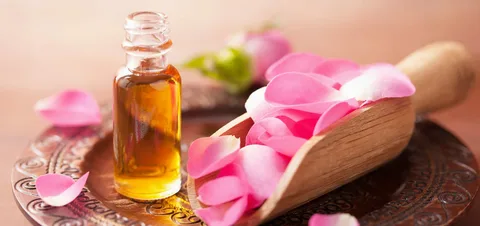 گلاب قمصر تازه با رایحه طبیعی و طراوت بی‌ نظیر